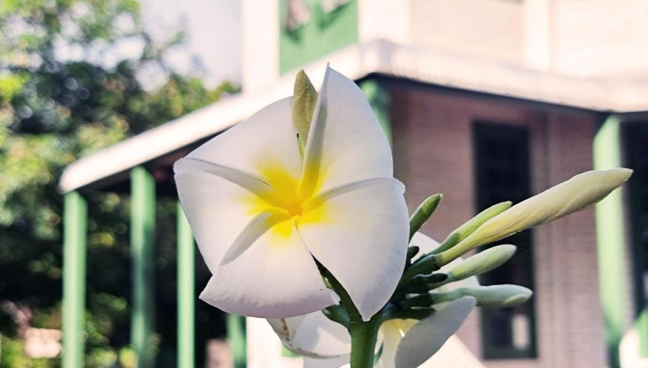 Oceania House Hotel Bantam Village Ngoại thất bức ảnh